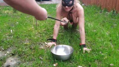 Slut Fox Is Tied With A Rope Like A Wild Animal And Eats Raw Meat - upornia.com